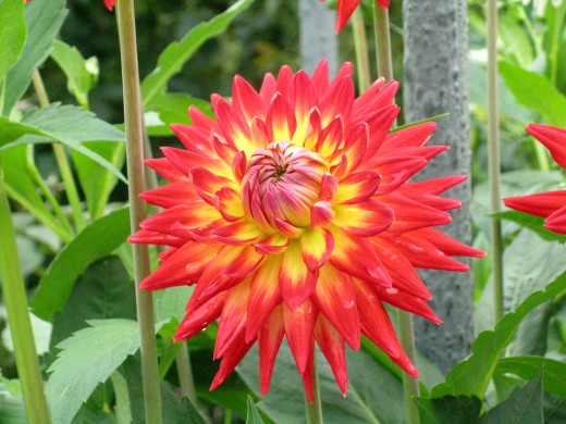 679284 (a): :2592x1944